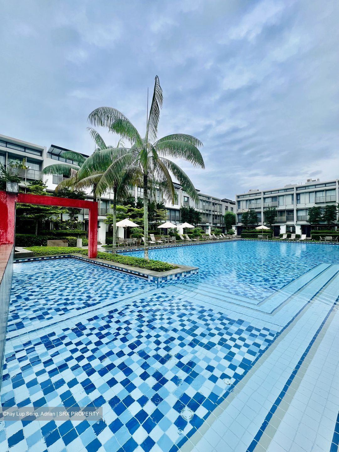The Teneriffe (D10), Terrace #612497541